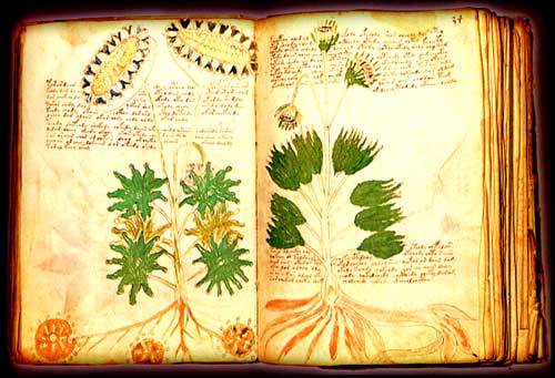 manuscrito-voynich